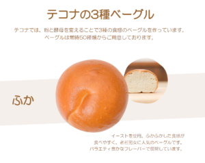 webサイト100選|私の目 tekona bagle works