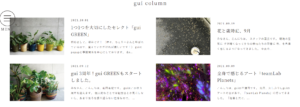 guiは、「花とあなたが出会う場所」を コンセプトにしたflower design team。 ファッションやアートなど、様々な世界との コラボレーションによって織り成すflower designで たくさんの人が新しく花と出会う場を生み出します。