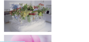 eden worksは、edenworks初のフラワーショップです。 花は生き物であるから、可能性に満ちています。 その可能性を、見つけ、引き出し、伝えたい。 2015年7月からスタートしたedenworks bedroom よりIntimateな空間になって2018年にリニューアル。 はじまりの場所、夢をみる場所として edenworks bedroomは週末にオープンしてます。