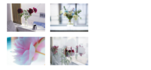 eden worksは、edenworks初のフラワーショップです。 花は生き物であるから、可能性に満ちています。 その可能性を、見つけ、引き出し、伝えたい。 2015年7月からスタートしたedenworks bedroom よりIntimateな空間になって2018年にリニューアル。 はじまりの場所、夢をみる場所として edenworks bedroomは週末にオープンしてます。